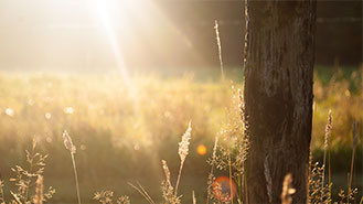 2024年最新版免费的短信轰炸平台