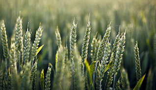 官方渠道正版的免费轰炸软件版